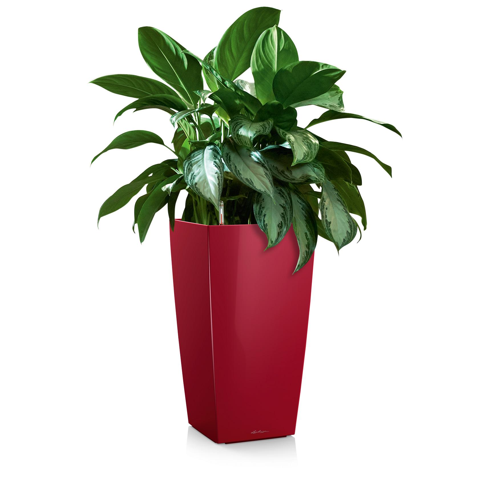 CUBICO 30 scarlet red high-gloss
